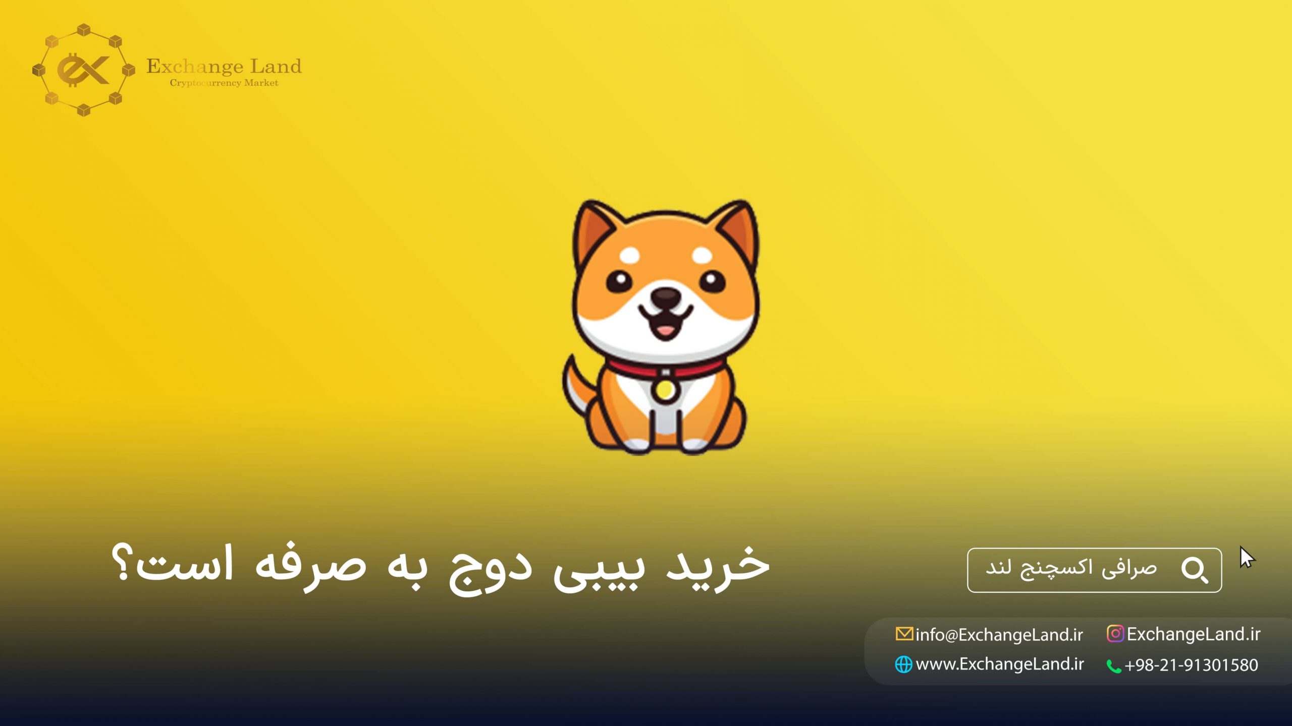 خرید ارز دیجیتال بیبی دوج