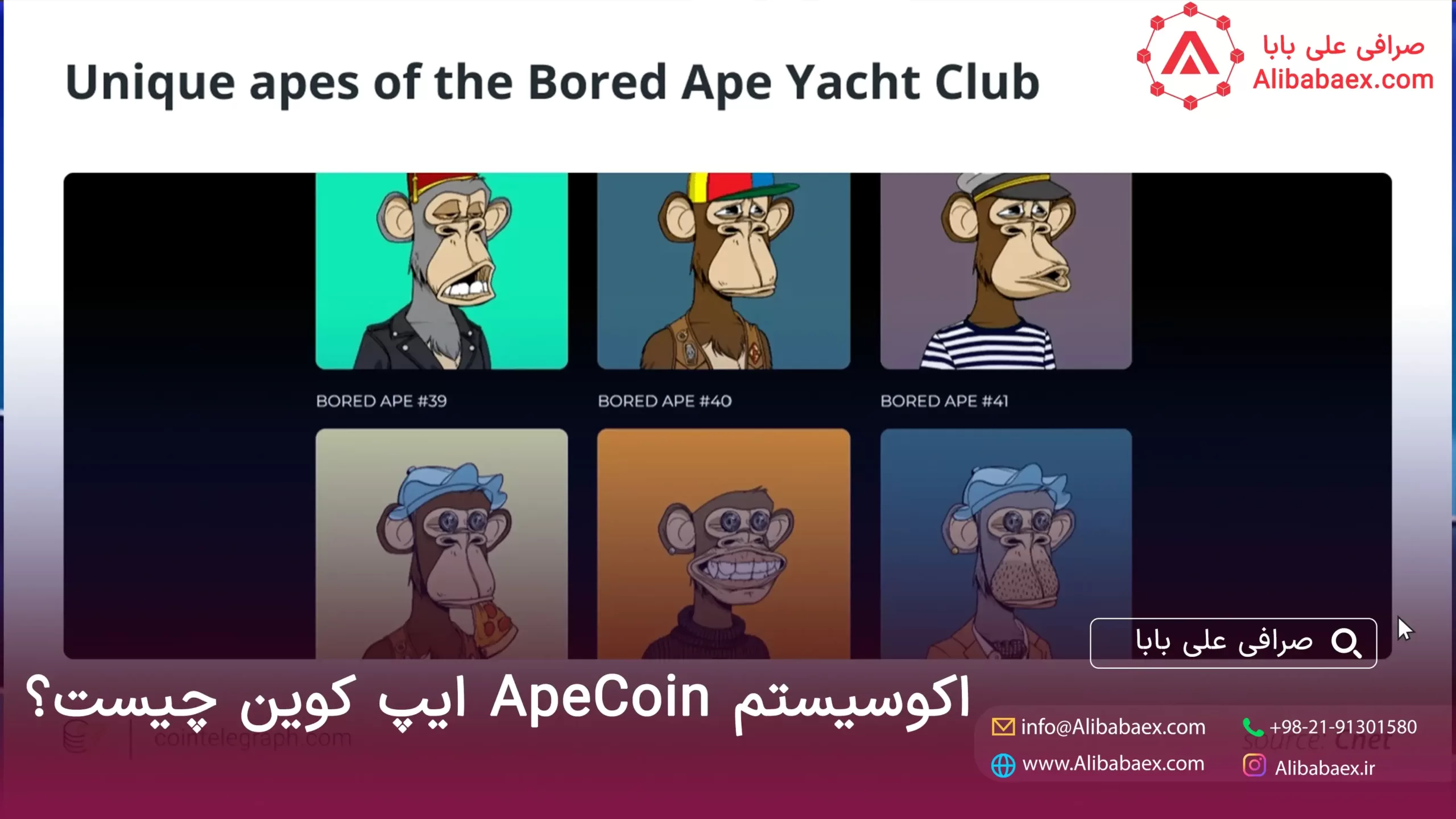 خرید apecoin ایپ کوین