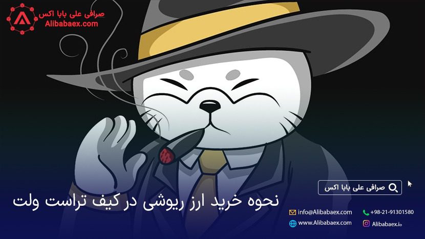 قیمت ارز ریوشی
